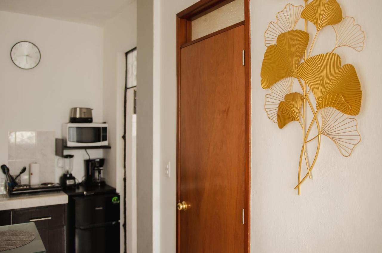 Departamento Orellana 1 チェトゥマル エクステリア 写真